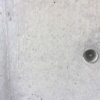 けものへんに星と書いてなんと読みますか 平仮名でお願いします 猩 Yahoo 知恵袋