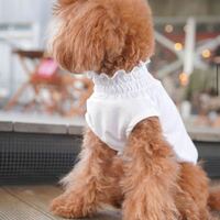 写真のような首がある犬用の春夏服売っているお店知りませんか Yahoo 知恵袋