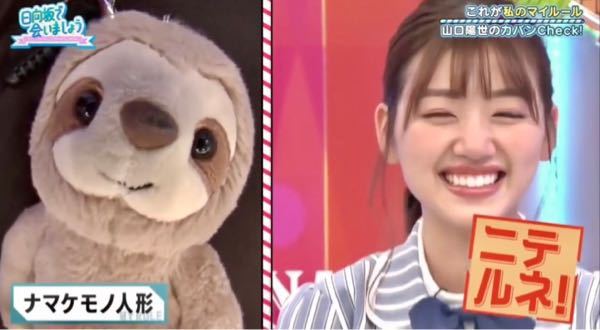 左 ナマケモノ人形 右 日向坂46 佐々木美玲ちゃん 顔が似て Yahoo 知恵袋