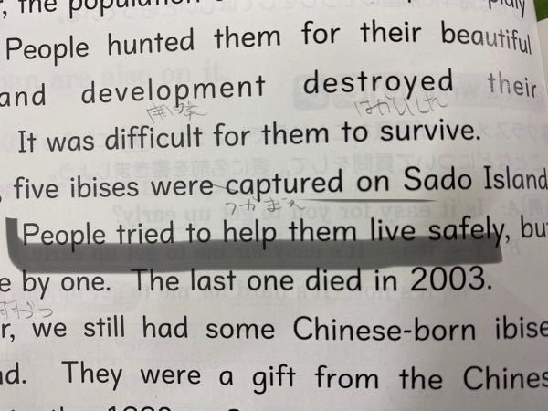 ワンオクの曲で あまり知られてないけど良い曲だよ っていう曲ありま Yahoo 知恵袋