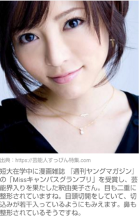 画像の釈由美子みたいな すごく幅の狭い二重って埋没でしょうか 切開でもこのよ Yahoo 知恵袋