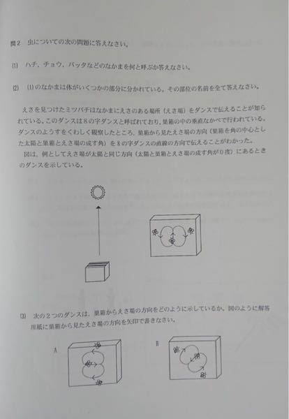 小学理科です 答えがないので答えを教えて下さい 問2虫につい Yahoo 知恵袋