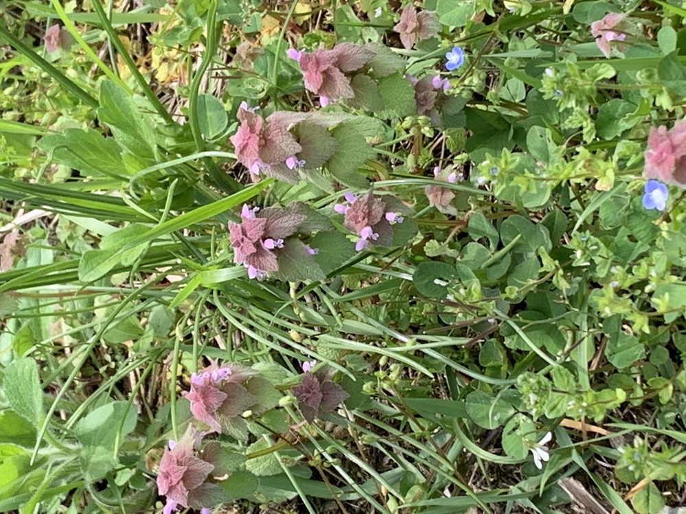 人間なんていないほうが良いのではないですか 人間は自分の事 Yahoo 知恵袋