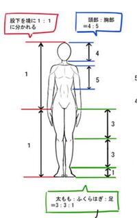 足と腕ってどっちが長いですか 代女性の平均身長が約158 Yahoo 知恵袋
