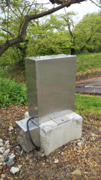 マリーゴールドの根本付近の葉が枯れてチリチリ６月中は威勢が良かったマ Yahoo 知恵袋