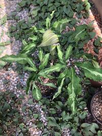 ヒロインの反対って 男が主人公の場合 ヒロインですが女が主人公の場 Yahoo 知恵袋