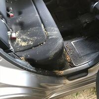 車のマフラーから変な音がします 友人の車の事で質問です エ Yahoo 知恵袋