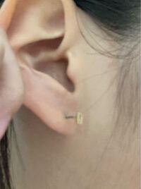 至急 ピアスが途中から入りません 無理やり入れようとするとめっ Yahoo 知恵袋