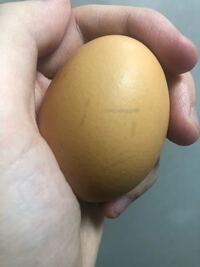 スーパーで買った卵にひびが入っていました。1.このヒビの色が スーパーで買った卵にひびが入っていました。1.このヒビの色が