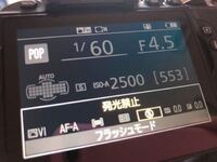 Nikond5600について 使う場所的に光らせてしまうと周りの人たち Yahoo 知恵袋