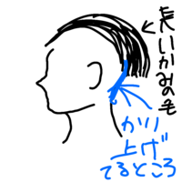 髪型で 後ろを刈り上げるけど上の方が少し長い感じの髪型はなんと調べ Yahoo 知恵袋