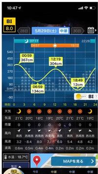 アオリイカ エギング は昼と夜はどちらが釣れますか あなたの実績も踏ま Yahoo 知恵袋