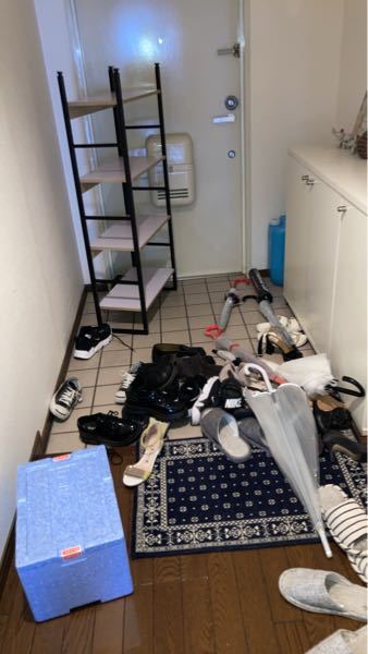 1回も一人暮らししたことがない一人っ子の男って変ですか ひきますか 今年4 Yahoo 知恵袋