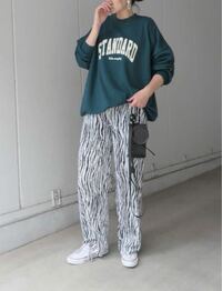 こんな感じの服の系統が好きなんですけど 淡色女子とかメンズライ Yahoo 知恵袋