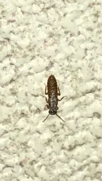 携わるなかで 携わる中で どちらが正しいでしょうか また どういう意味でしょ Yahoo 知恵袋