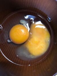 買ったばかりの卵を割ると右の様な卵が出てきました。 - 左はその後 ...