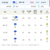ディズニー 舞浜 の天気予報 どれが当たりますか ご覧いた Yahoo 知恵袋