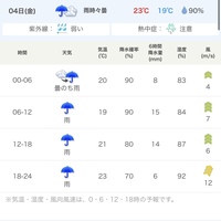 ディズニーの来月の天気予報を予想しているサイトがありますがあ Yahoo 知恵袋