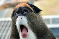ドラゴンクエスト11のカミュのスキルパネルの封印が解除される条件はなんでしょ Yahoo 知恵袋