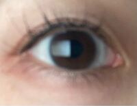 この人の眼は三白眼なのでしょうか 違いますね 三白眼の方は普 Yahoo 知恵袋