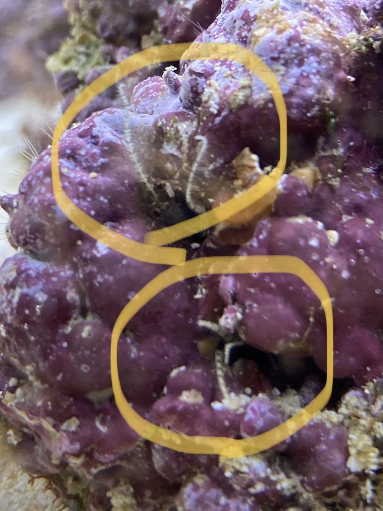 ビオトープのメダカの樽の水温を下げるために氷を放り込んでは駄目ですか Yahoo 知恵袋