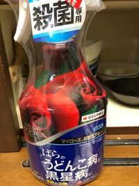 バラの黒星病が酷く 薬剤をローテーションで使うように教えて頂きました Yahoo 知恵袋