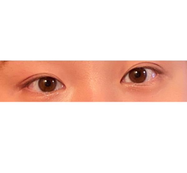 この目ってどういう形なんですか つり目 丸目 切れ長 教えてください Yahoo 知恵袋