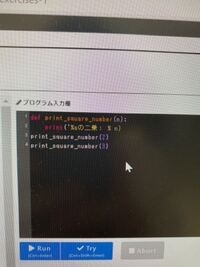 Pythonプログラミングについてです 関数定義によって2の二乗 Yahoo 知恵袋