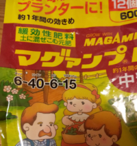 この顔文字wwwwwwwwwwww なんと打ったら出ますか キ Yahoo 知恵袋