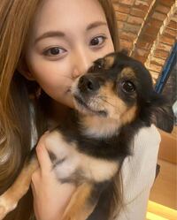 Twiceのメンバーが飼っているペットの写真と名前を全部教えてください Yahoo 知恵袋