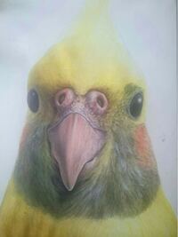 ワンピースの エースとサボの火拳って違いがありますよね アニメ版の声ですけど笑 Yahoo 知恵袋