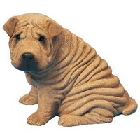 犬が好きです 初めて見た時から思っていました 習近平は シャー ペイに似て Yahoo 知恵袋