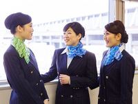 Ana Jalのcaの夢 やっぱり パイロット 医者 弁護士 Yahoo 知恵袋