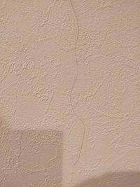 寝癖が毎朝ひどいので朝シャンをしようと思うのですが 前の日の夜は髪の毛洗わない Yahoo 知恵袋