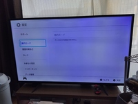 Pnasonic テレビ　49インチ　TH-49D300 画面が青い 画面が青い』 パナソニック VIERA TH-49D300 [49インチ] の