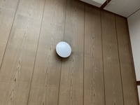 天井のカビ掃除について回答願います 賃貸アパート 和室の天井にカビがは Yahoo 知恵袋