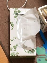 2階の寝室に蟻が大量にいます 蟻の列の先はティッシュでティッシュにめちゃくち Yahoo 知恵袋