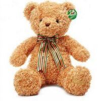 ぬいぐるみと一緒に寝る女性 心理を教えて下さい 子供の頃 姉にプレゼント Yahoo 知恵袋