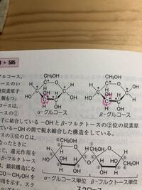 高校化学の質問です グルコースの不斉炭素原子と数について 写真の赤マー Yahoo 知恵袋