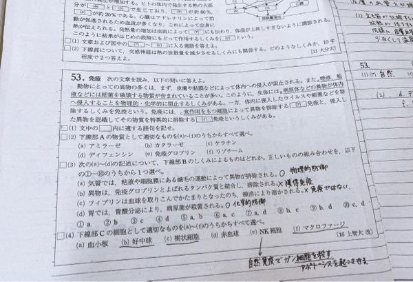ネアンデルタール人はなぜタブー視されてるんですか Yahoo 知恵袋