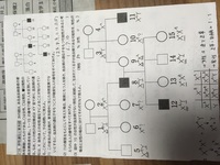 ワンピースの頂上戦争編はアニメでいうと何話から何話までですか Onepiec Yahoo 知恵袋