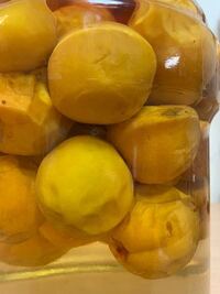 あんず酒を昨日 漬け込みました 少しキズがあったのですが い Yahoo 知恵袋