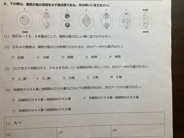 すみません 誰か答えを教えてください 全くわかりません Yahoo 知恵袋