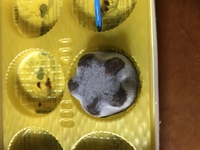 先日アイスのピノを食べてたら 一個星型 のものが入ってましたが あれはな Yahoo 知恵袋