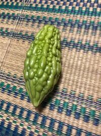 このゴーヤー濃い緑にはならない種類ですか 濃い緑の苗を買った Yahoo 知恵袋