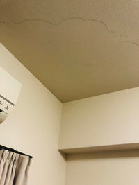 天井の黒いシミは何でしょうか 水が垂れたりクロスがふやけてはいません 賃貸マ Yahoo 知恵袋