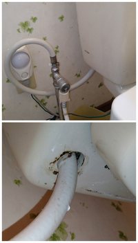 【汚い写真ですみません】
トイレのタンク下からの水漏れについて。
_
INAXのDT-3820（廃盤品）トイレですが、水を流すとタンク下からホースを伝って水がポタポタ垂れてきます。 汚い写真ですみませんが、ホース結合部がタンク内部にあり、触ったり見たりすることができません。
ネットで調べて、上のタンク蓋を開けてみましたが、手洗い用の水道管？あたりの漏れではなさそうです。

この型だと、自分で...