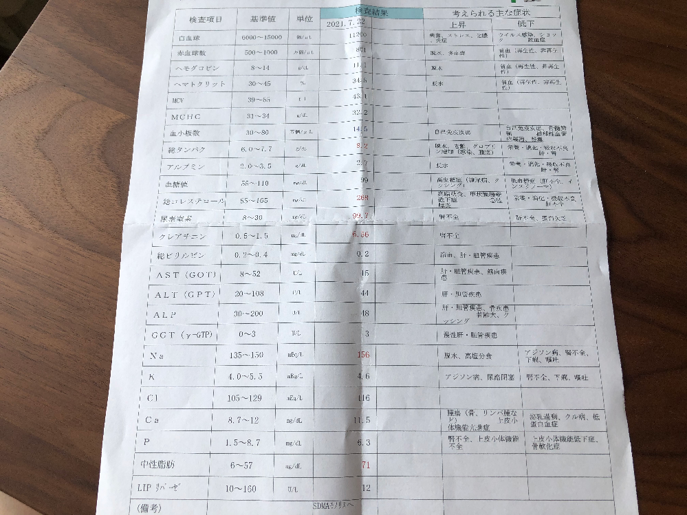 猫が腎不全の診断を受けました。BUN99.7クレアチニン6.562019年か 