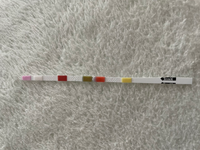 オーバーフロー水槽でリングろ材は入るなら沢山入れた方がいいのでしょうか Yahoo 知恵袋