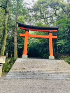 ある神社に行って写真を撮ったのですが、不思議な光が入り込んでいます 